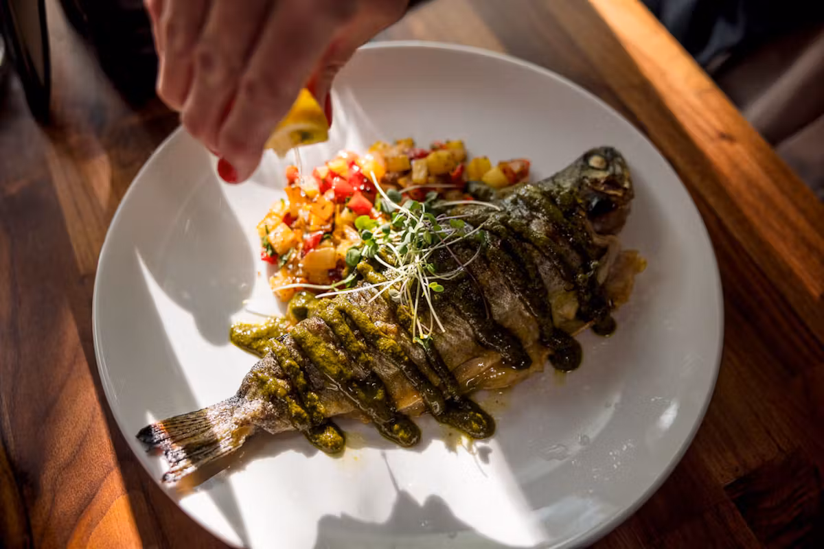 Grilled fish dish with herb sauce and fresh salsa, garnished with microgreens, served at a Jackson Hole restaurant.