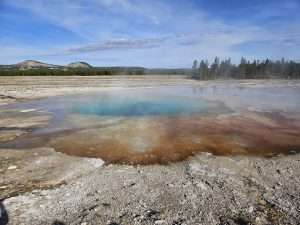 Geothermal feature in Yellowstone National Park, showcasing vibrant blue water and mineral deposits, with steam rising in a scenic landscape.