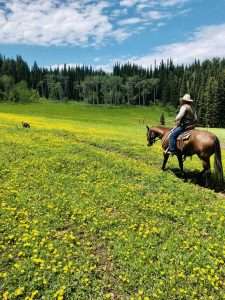 Horseback rider on a brown horse traversing a vibrant field of yellow wildflowers in Caribou-Targhee National Forest, with lush green trees and a blue sky in the background, highlighting the scenic trails of Grand Targhee Resort.